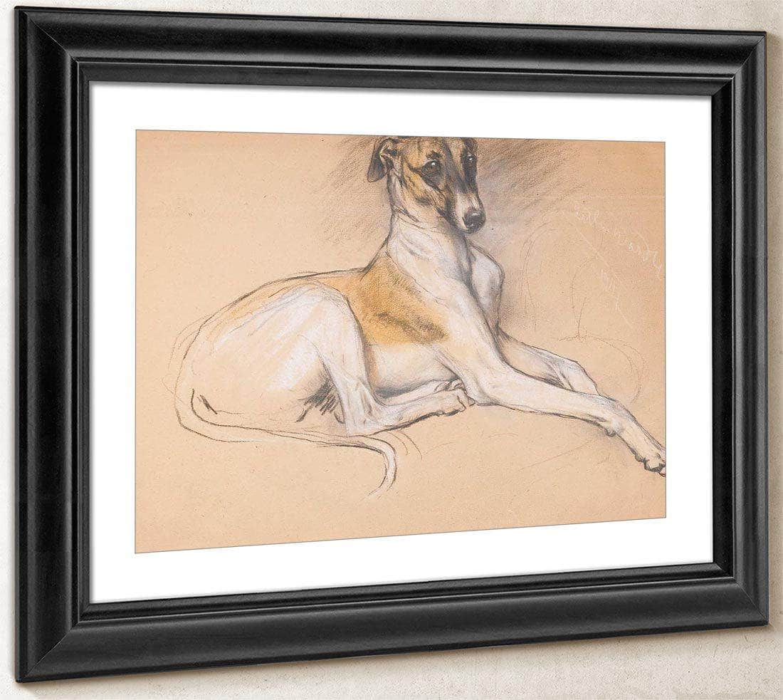 Studies Of A Greyhound By Arthur Wardle Fine Art Print