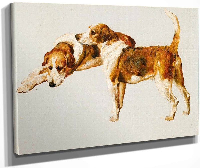 Studies Of A Hound By Arthur Wardle Fine Art Print