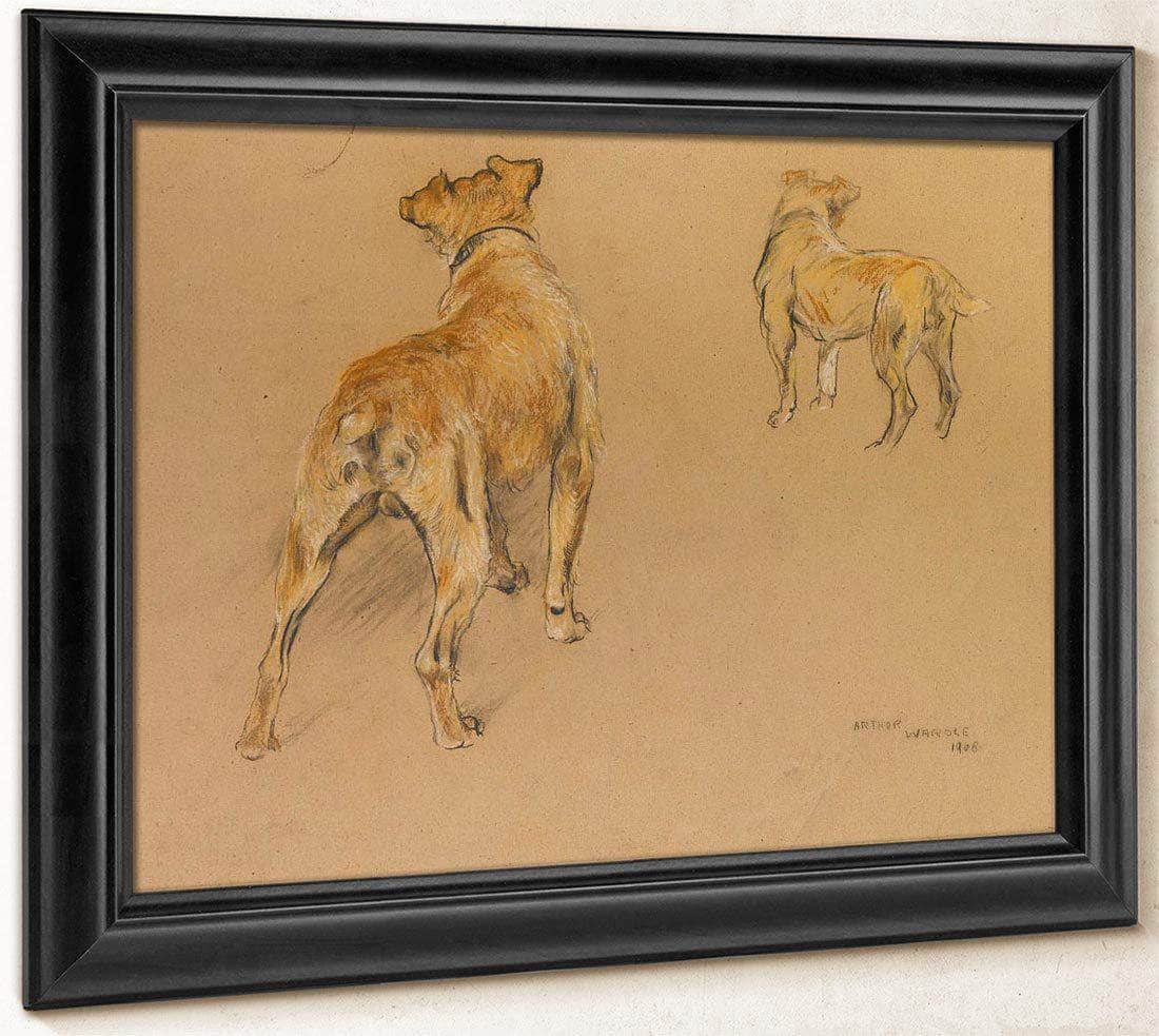 Studies Of A Terrier From Behind By Arthur Wardle Fine Art Print