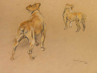 Studies Of A Terrier From Behind By Arthur Wardle Fine Art Print