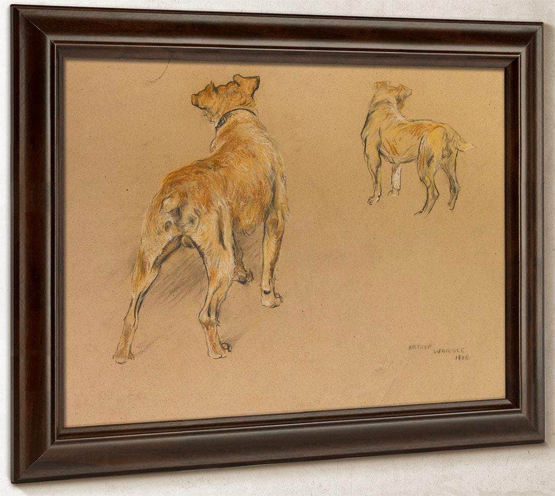 Studies Of A Terrier From Behind By Arthur Wardle Fine Art Print
