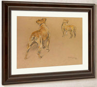 Studies Of A Terrier From Behind By Arthur Wardle Fine Art Print