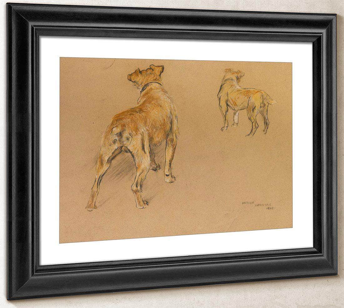 Studies Of A Terrier From Behind By Arthur Wardle Fine Art Print