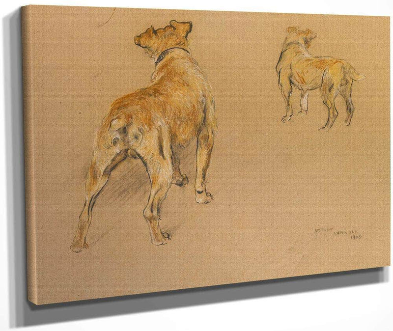 Studies Of A Terrier From Behind By Arthur Wardle Fine Art Print