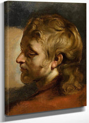 Study For Head Of Saint John The Evangelist 2 By Peter Paul Rubens Fine Art Print