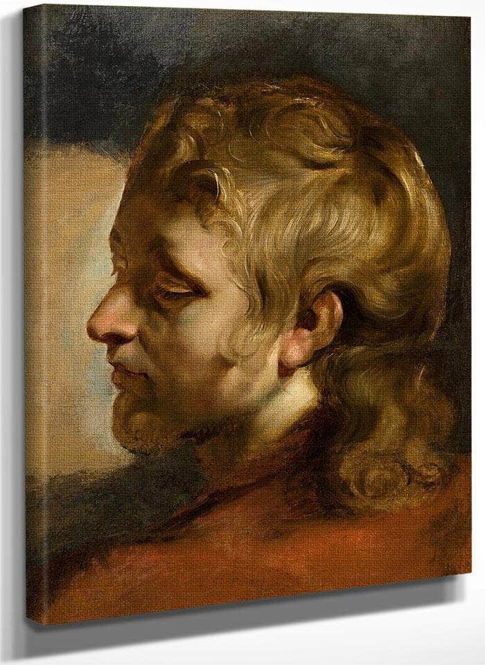 Study For Head Of Saint John The Evangelist By Peter Paul Rubens Fine Art Print