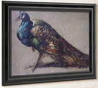 Study Of A Peacock For 'The Judgement Of Paris' By William Etty Fine Art Print