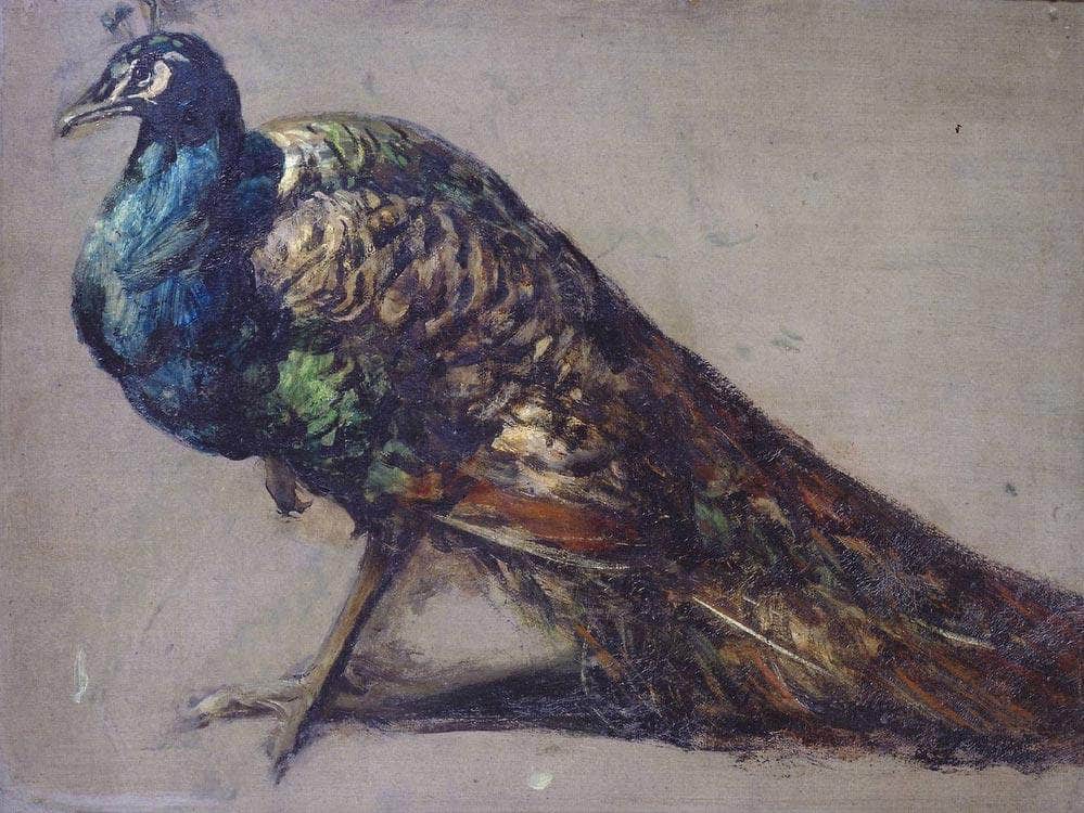 Study Of A Peacock For 'The Judgement Of Paris' By William Etty Fine Art Print