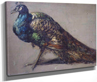 Study Of A Peacock For 'The Judgement Of Paris' By William Etty Fine Art Print
