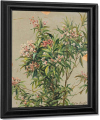 Study Of An Oleander By Louis Aston Knight Fine Art Print