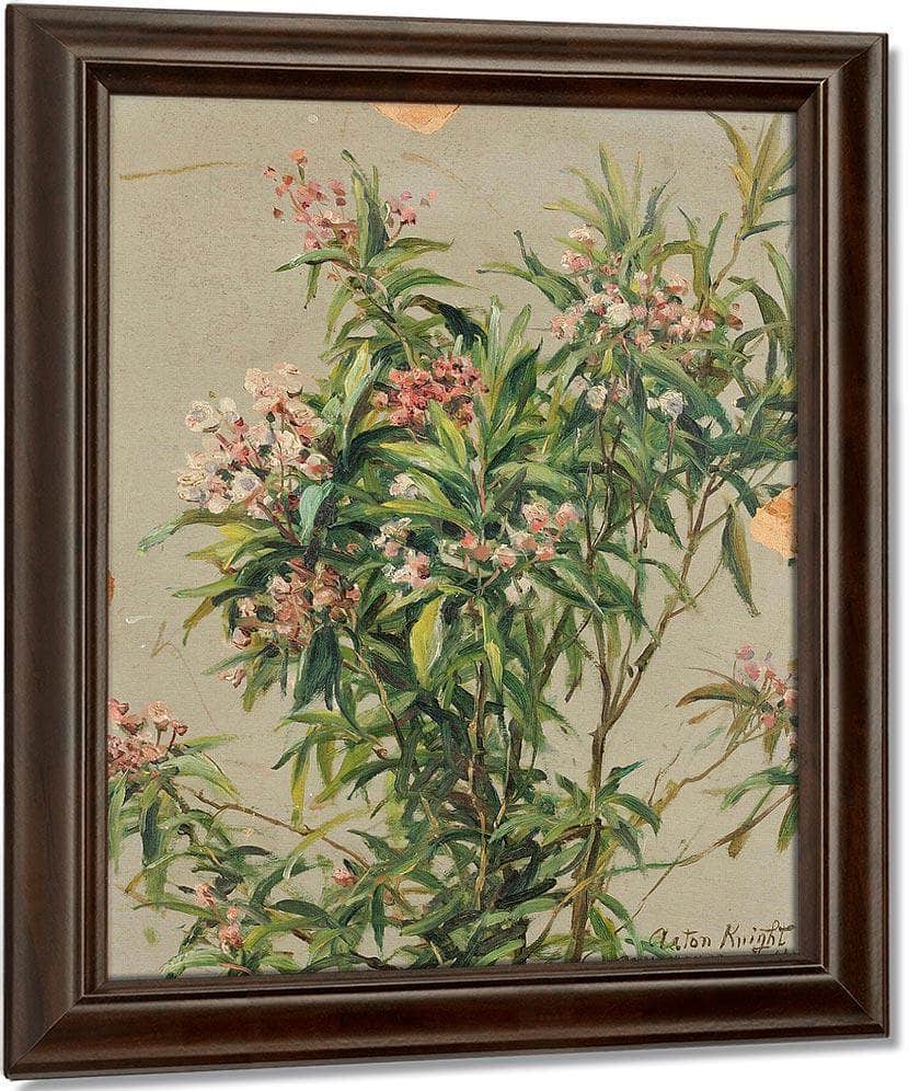 Study Of An Oleander By Louis Aston Knight Fine Art Print