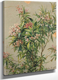 Study Of An Oleander By Louis Aston Knight Fine Art Print