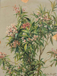 Study Of An Oleander By Louis Aston Knight Fine Art Print