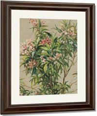 Study Of An Oleander By Louis Aston Knight Fine Art Print