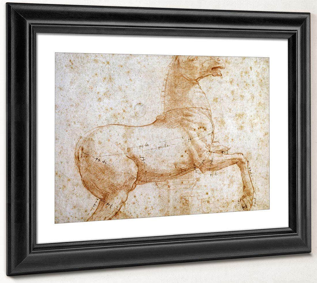 Study Of One Of The Quirinal Marble Horses By Raphael Fine Art Print