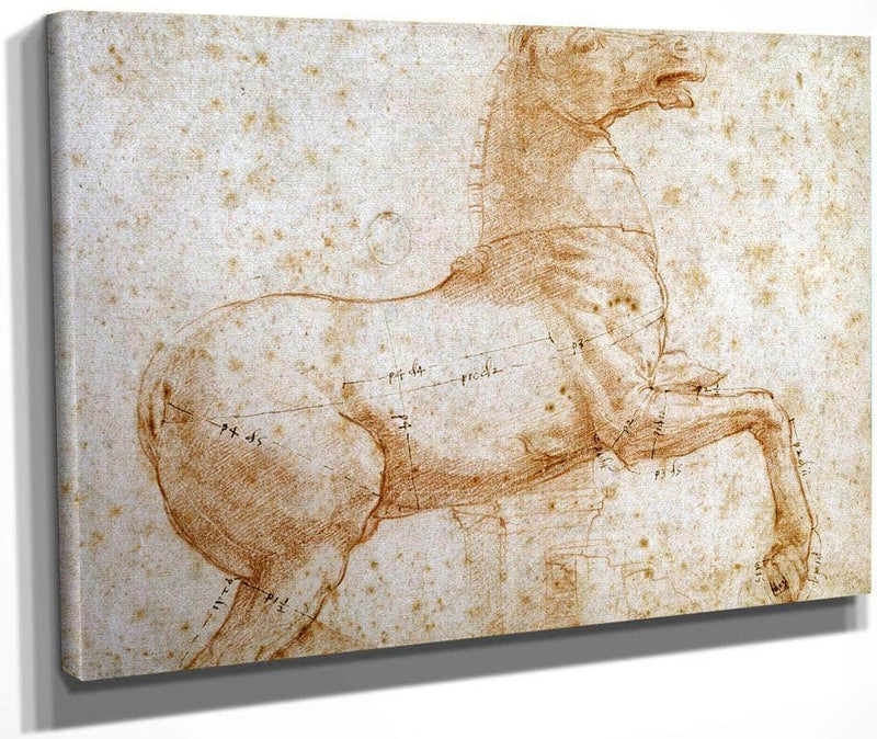 Study Of One Of The Quirinal Marble Horses By Raphael Fine Art Print