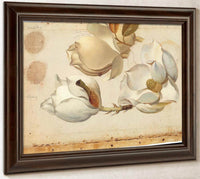 Study Of Three Blossoms Of Magnolia By Martin Johnson Heade Fine Art Print