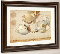 Study Of Three Blossoms Of Magnolia By Martin Johnson Heade Fine Art Print