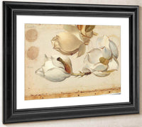 Study Of Three Blossoms Of Magnolia By Martin Johnson Heade Fine Art Print