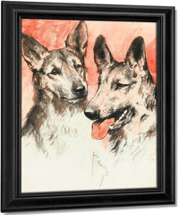 Study Of Two German Shepherds By Arthur Wardle Fine Art Print