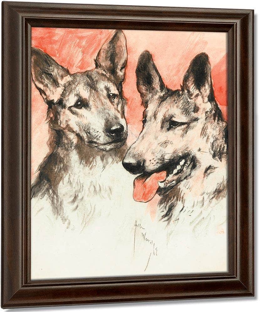 Study Of Two German Shepherds By Arthur Wardle Fine Art Print