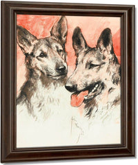 Study Of Two German Shepherds By Arthur Wardle Fine Art Print