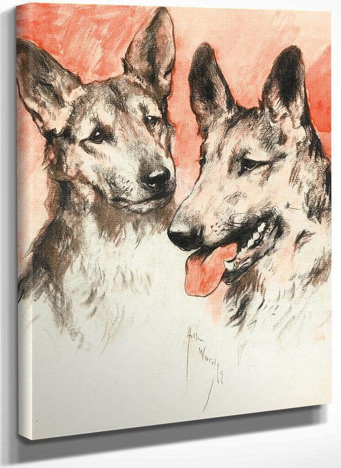 Study Of Two German Shepherds By Arthur Wardle Fine Art Print
