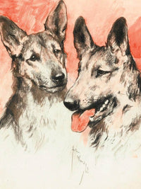 Study Of Two German Shepherds By Arthur Wardle Fine Art Print