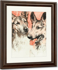 Study Of Two German Shepherds By Arthur Wardle Fine Art Print