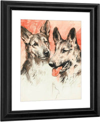 Study Of Two German Shepherds By Arthur Wardle Fine Art Print