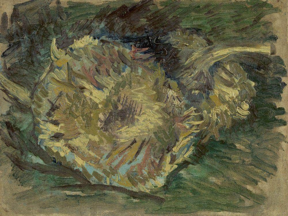 Sunflowers Gone To Seed By Vincent Van Gogh Fine Art Print