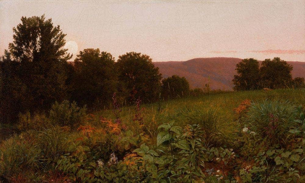 Sunset On The Meadow By William Trost Richards Fine Art Print
