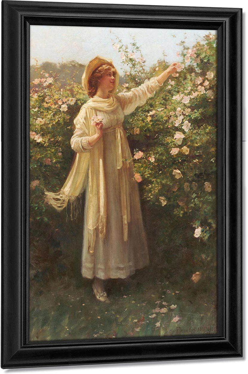 Sweet Briar By Robert Reid Fine Art Print