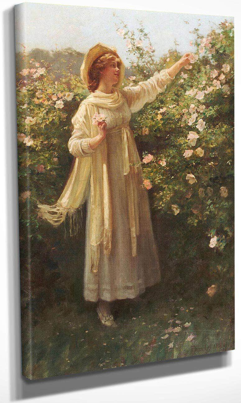 Sweet Briar By Robert Reid Fine Art Print