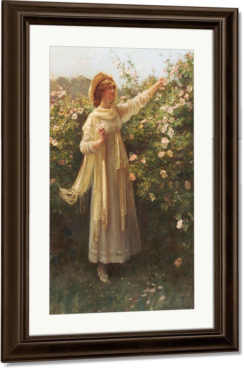 Sweet Briar By Robert Reid Fine Art Print