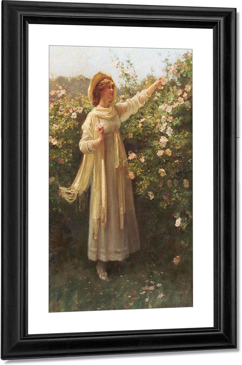Sweet Briar By Robert Reid Fine Art Print