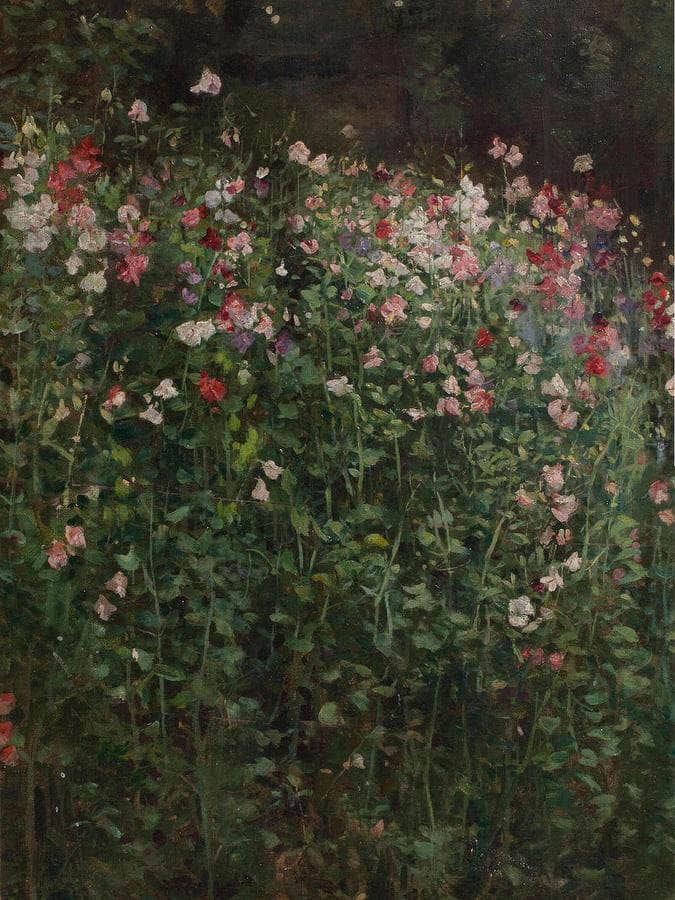 Sweet Peas By Robert Reid Fine Art Print