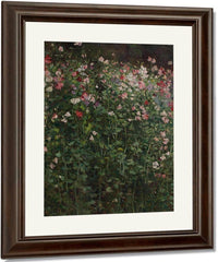 Sweet Peas By Robert Reid Fine Art Print