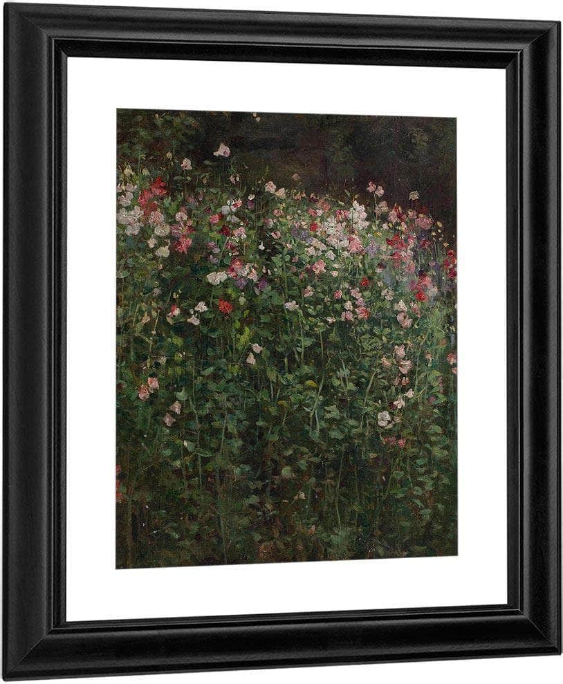 Sweet Peas By Robert Reid Fine Art Print