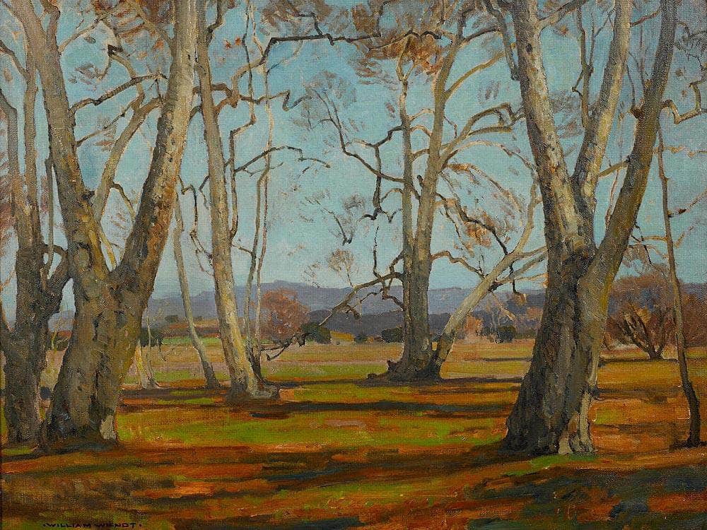 Sycamores By William Wendt Fine Art Print