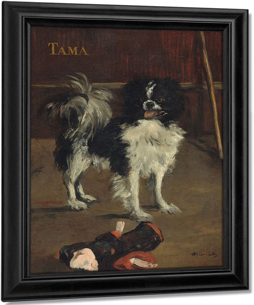 Tama, The Japanese Dog By Edouard Manet Fine Art Print