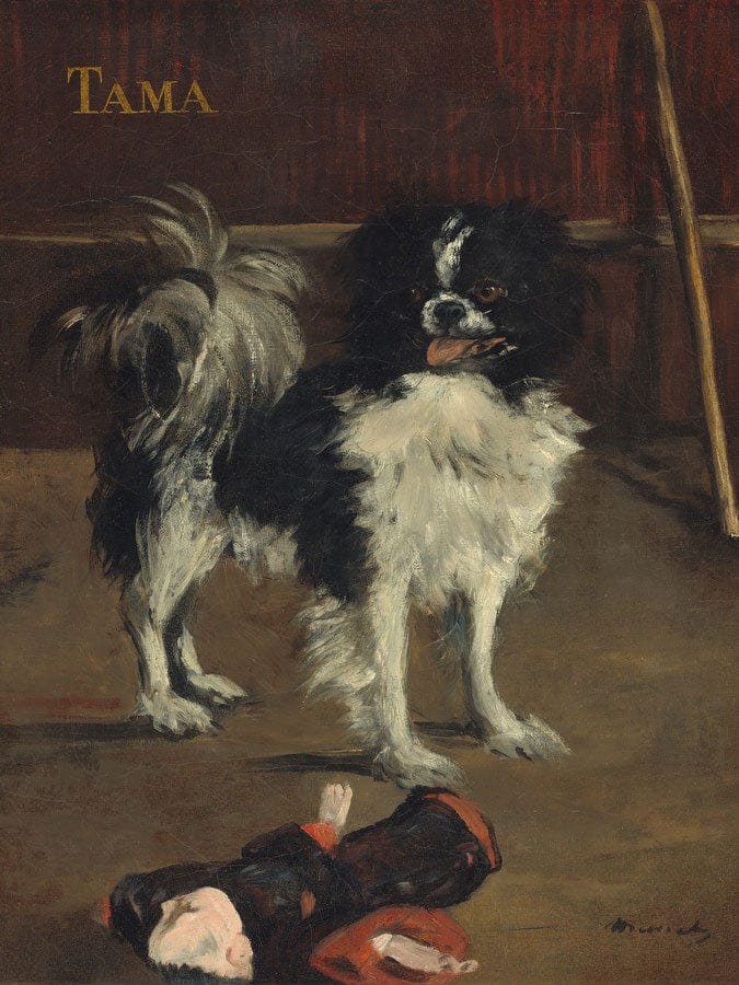 Tama, The Japanese Dog By Edouard Manet Fine Art Print