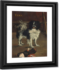 Tama, The Japanese Dog By Edouard Manet Fine Art Print