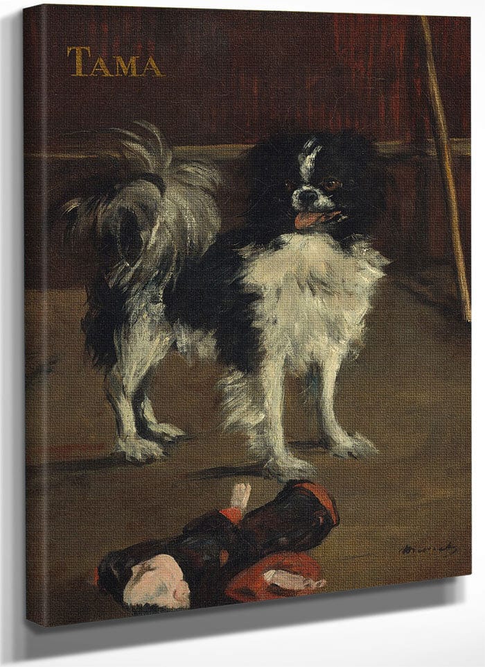 Tama, The Japanese Dog By Edouard Manet Fine Art Print