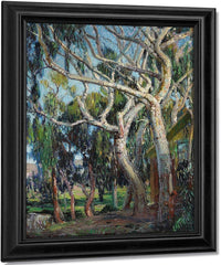 Tangled Branches, Laguna Canyon By Fine Art Print