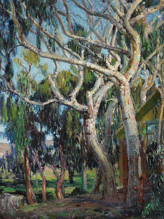 Tangled Branches, Laguna Canyon By Fine Art Print