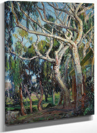 Tangled Branches, Laguna Canyon By Fine Art Print