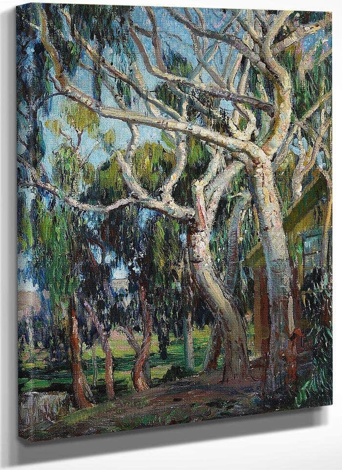 Tangled Branches, Laguna Canyon By Fine Art Print