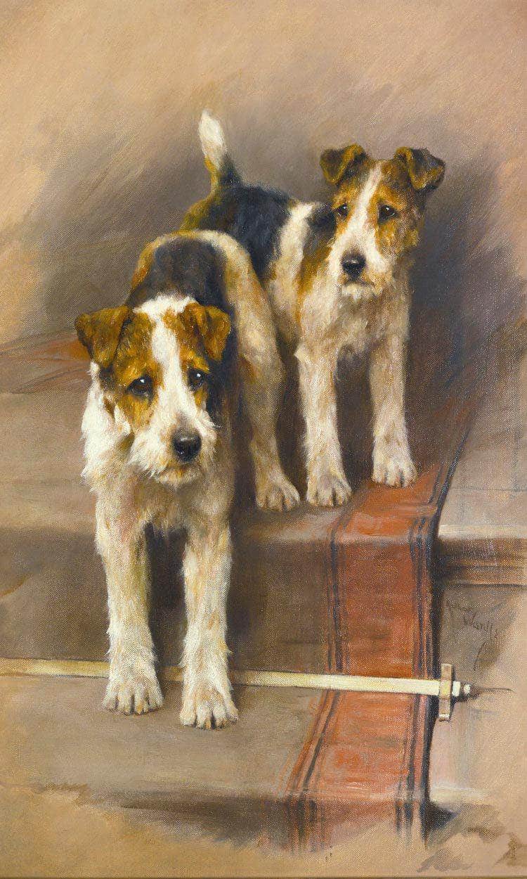 Terriers On A Staircase By Arthur Wardle Fine Art Print