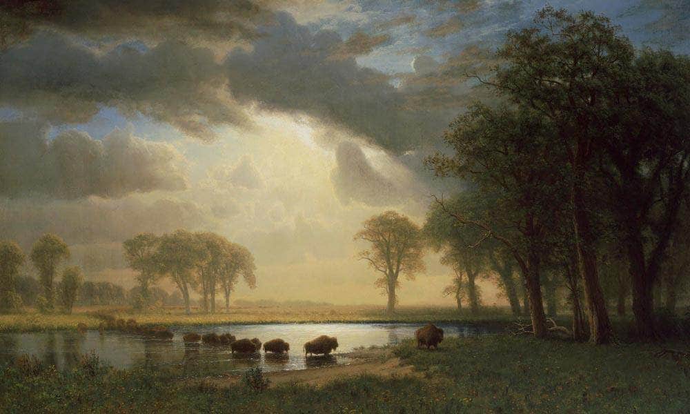 The Buffalo Trail By Albert Bierstadt Fine Art Print